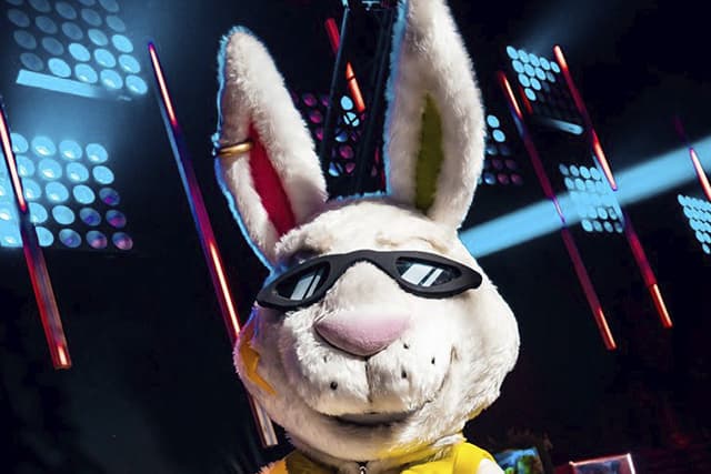 disfraz de mascota de conejo con gafas